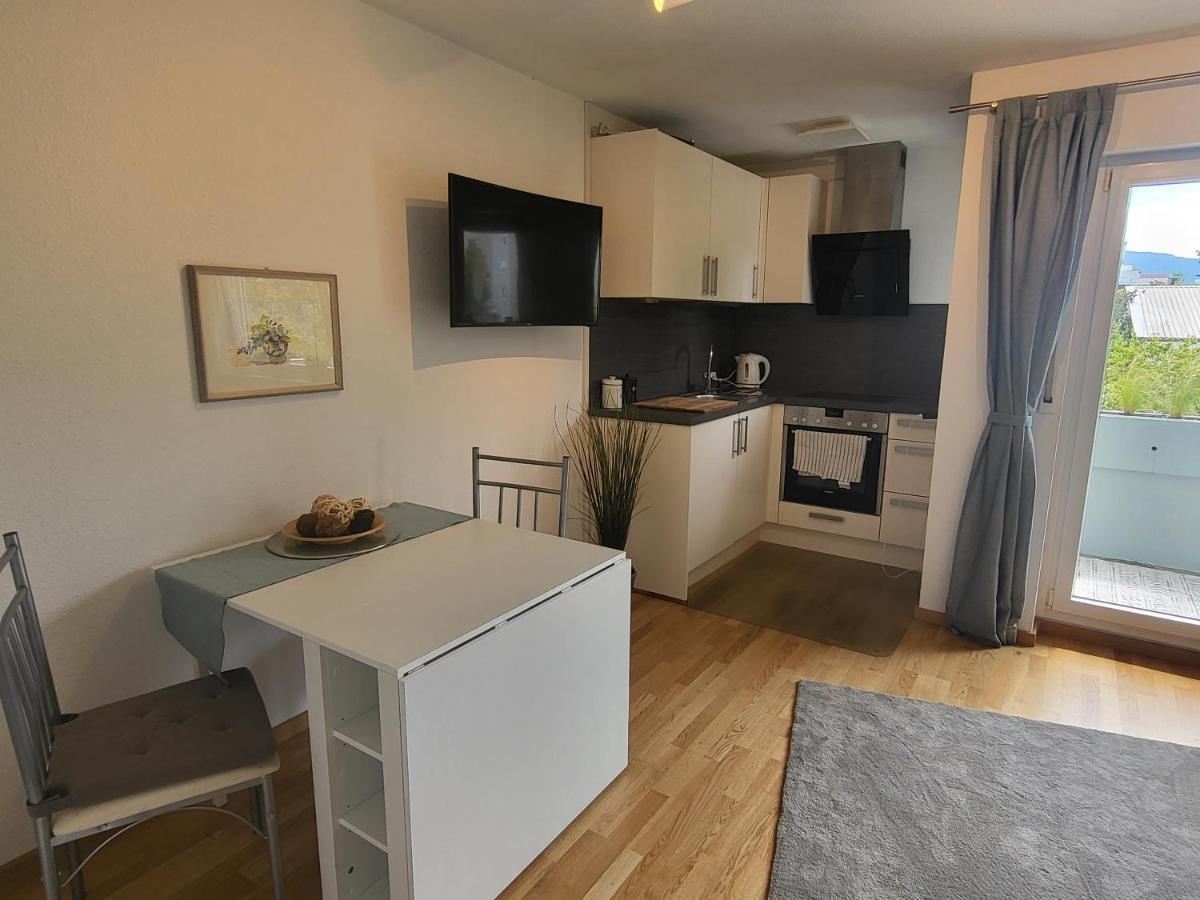 Ferienwohnung Am Seepark Fribourg im Breisgau Extérieur photo