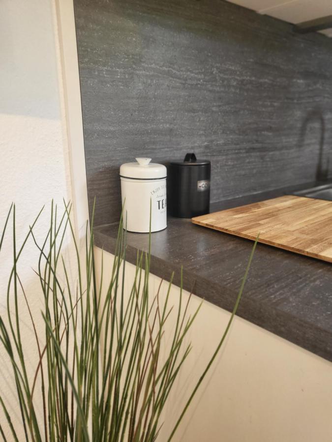Ferienwohnung Am Seepark Fribourg im Breisgau Extérieur photo